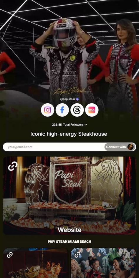 The papisteak page on Linkme